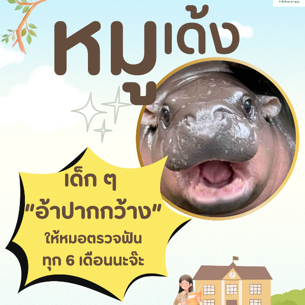 ชุดสื่อให้ความรู้การดูแลสุขภาพช่องปากเด็กปฐมวัย ”หมูเด้ง”